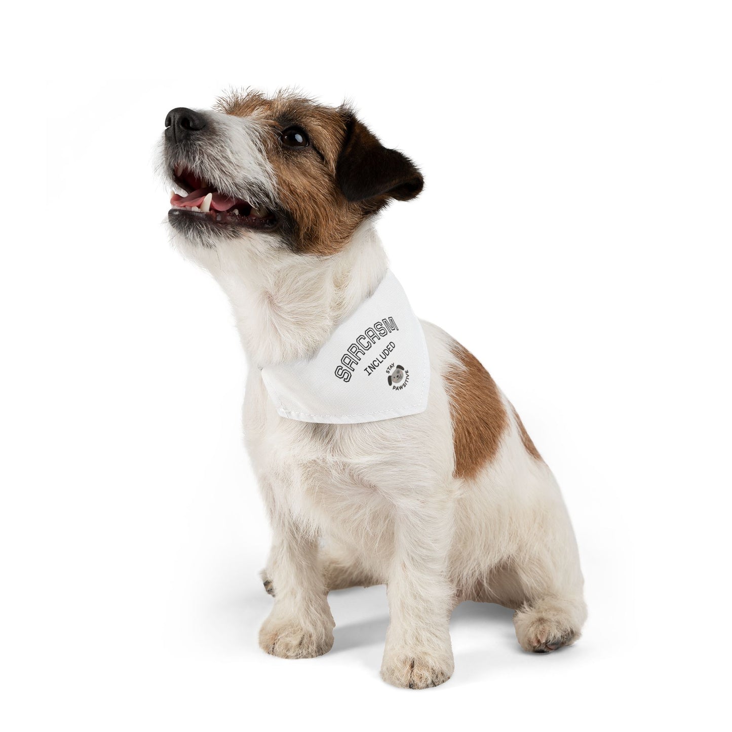 Sarcastic Pet Bandana Collar - Stay Pawsitive Dog Accessory, Funny Pet Gift, Canine Fashion, Cute Dog Apparel
