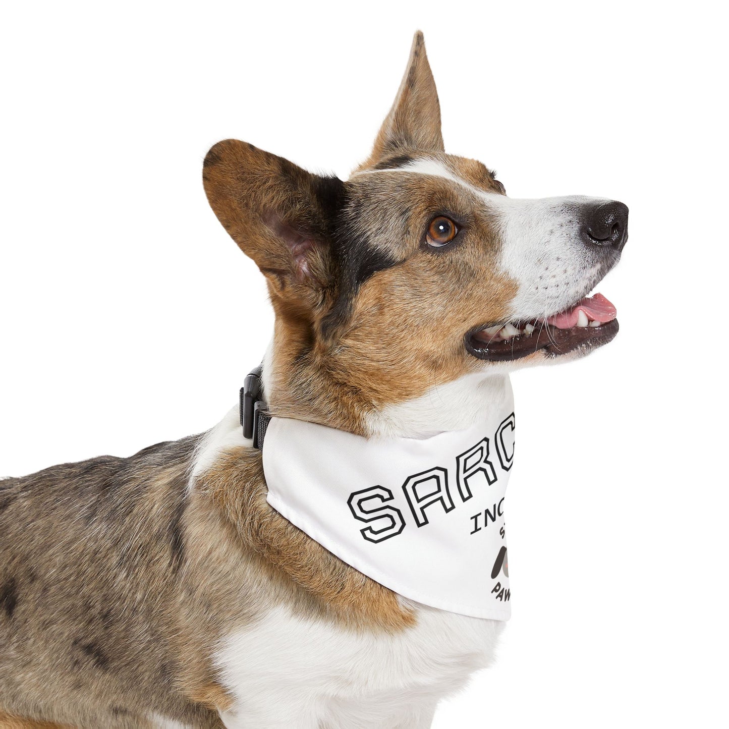 Sarcastic Pet Bandana Collar - Stay Pawsitive Dog Accessory, Funny Pet Gift, Canine Fashion, Cute Dog Apparel
