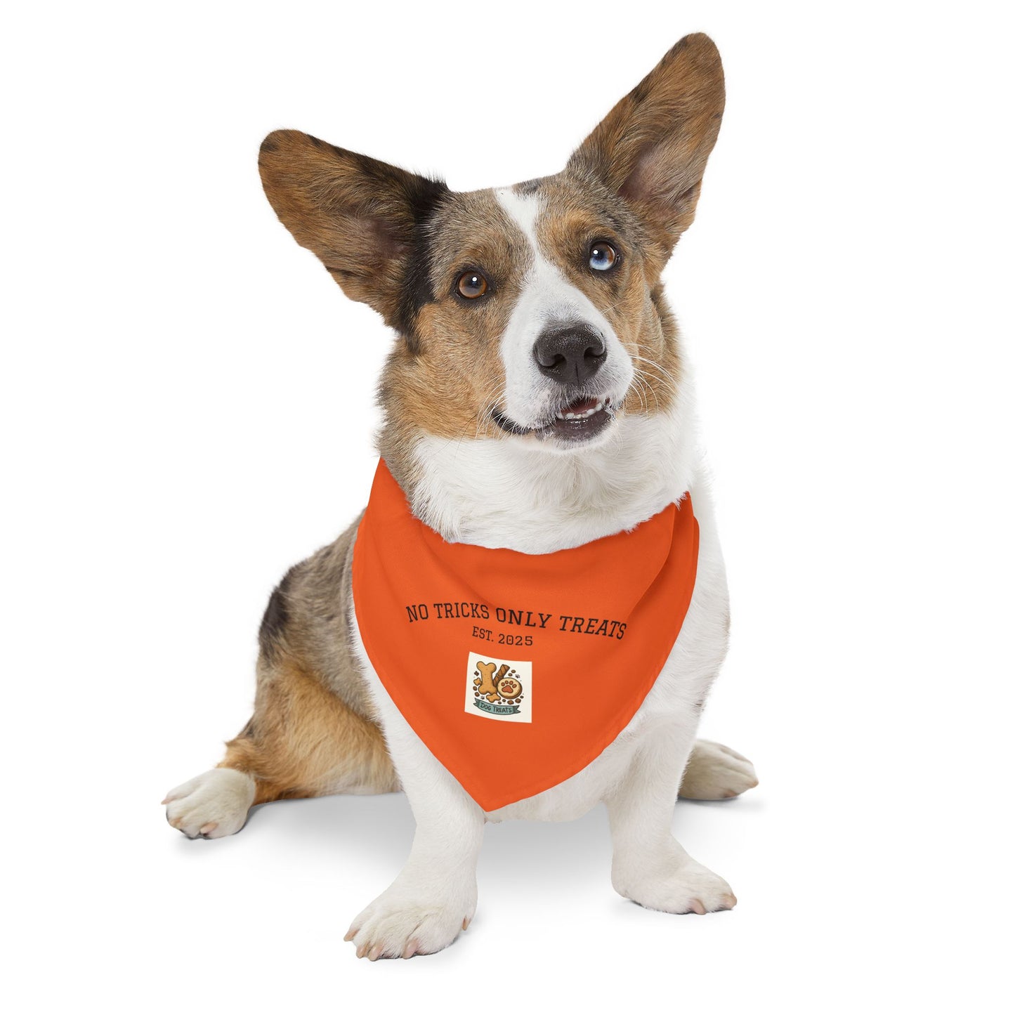 Halloween Pet Bandana Collar, Dog Costume Accessory, Trick or Treat Wear, Pet Holiday Gear, Cute Dog Bandana