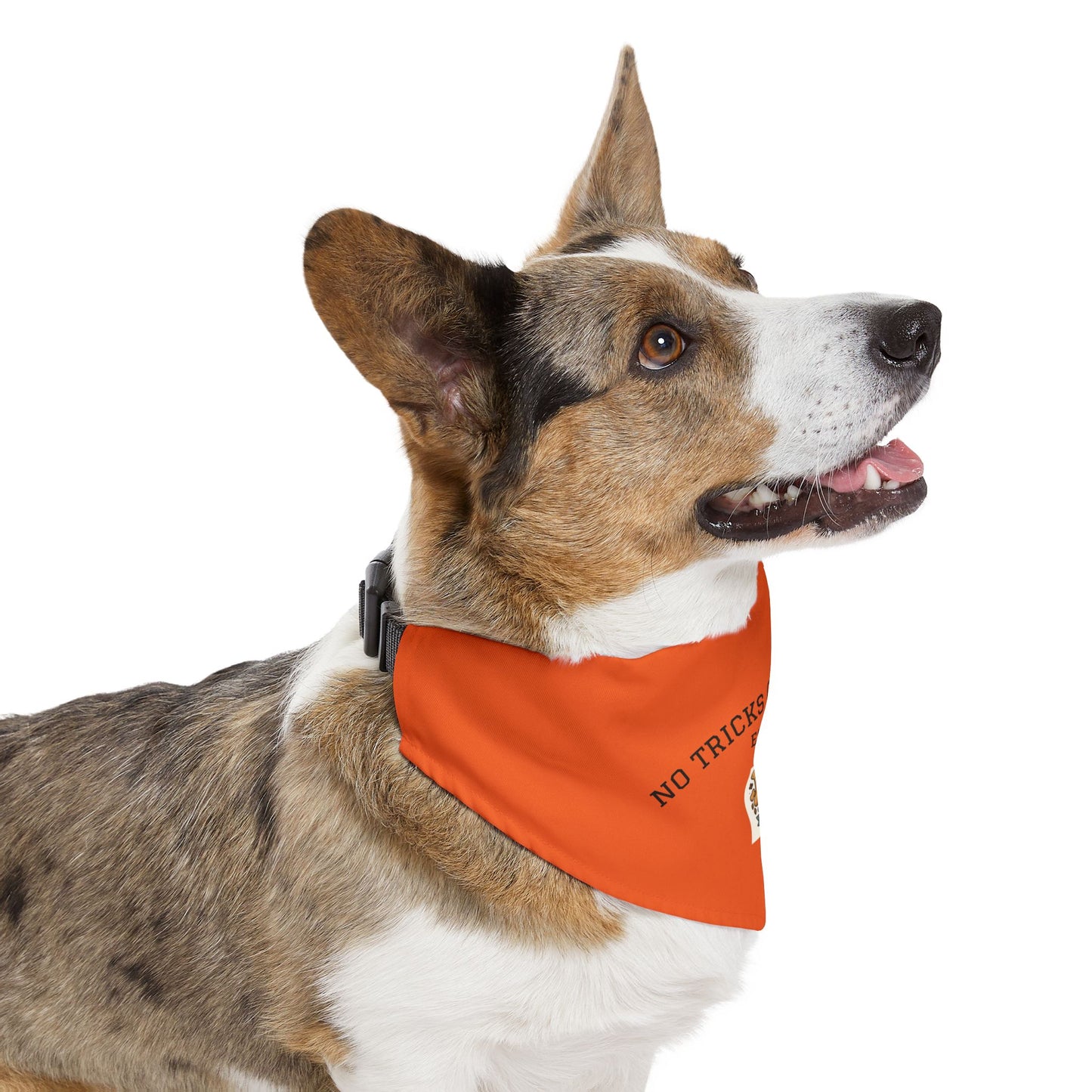 Halloween Pet Bandana Collar, Dog Costume Accessory, Trick or Treat Wear, Pet Holiday Gear, Cute Dog Bandana