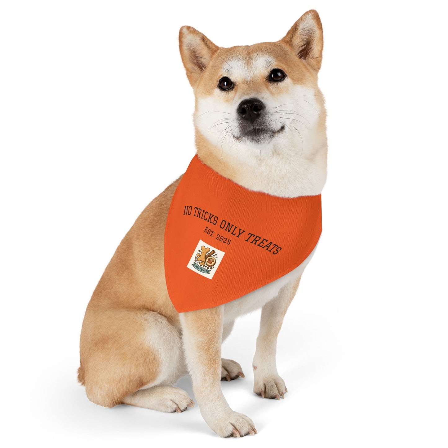 Halloween Pet Bandana Collar, Dog Costume Accessory, Trick or Treat Wear, Pet Holiday Gear, Cute Dog Bandana