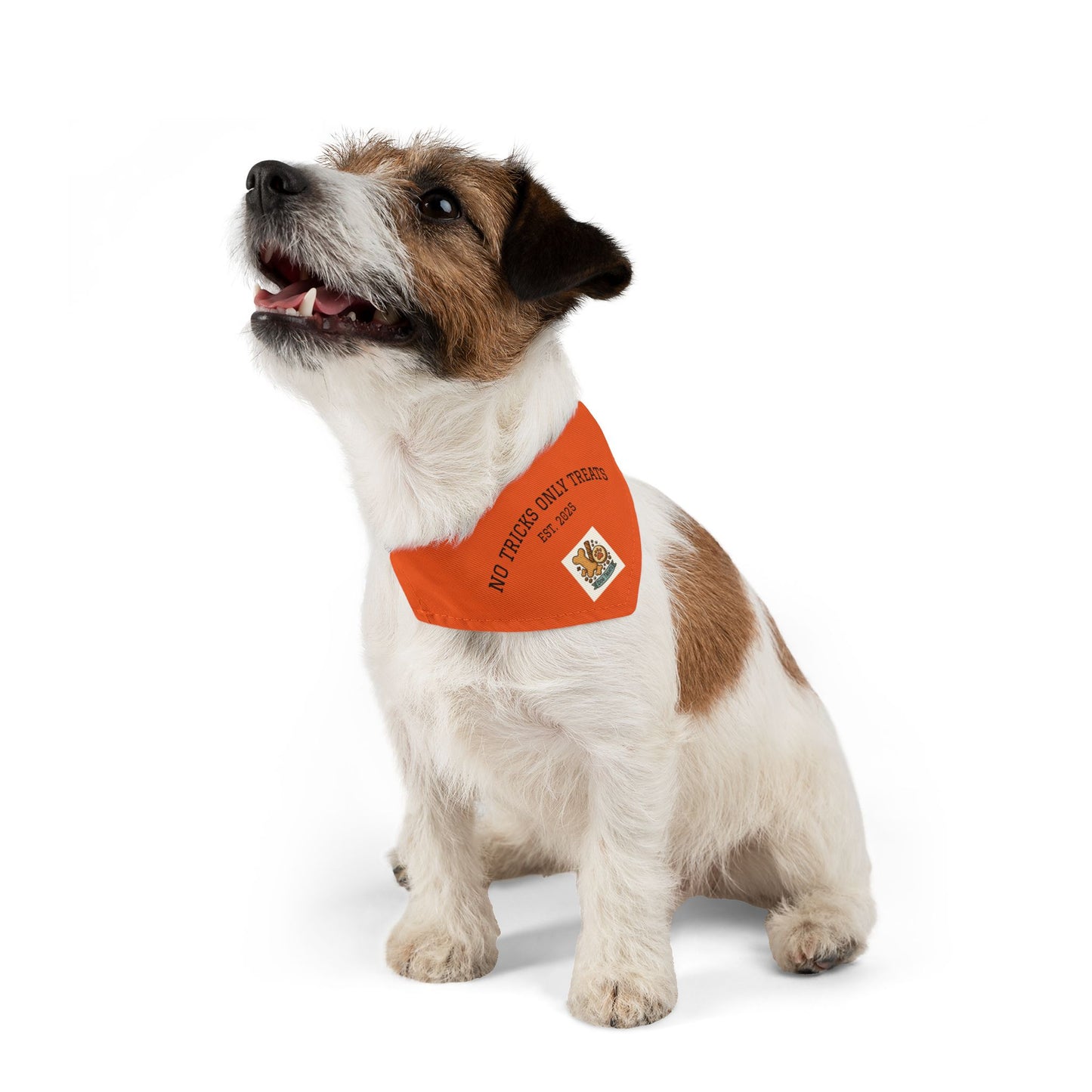 Halloween Pet Bandana Collar, Dog Costume Accessory, Trick or Treat Wear, Pet Holiday Gear, Cute Dog Bandana