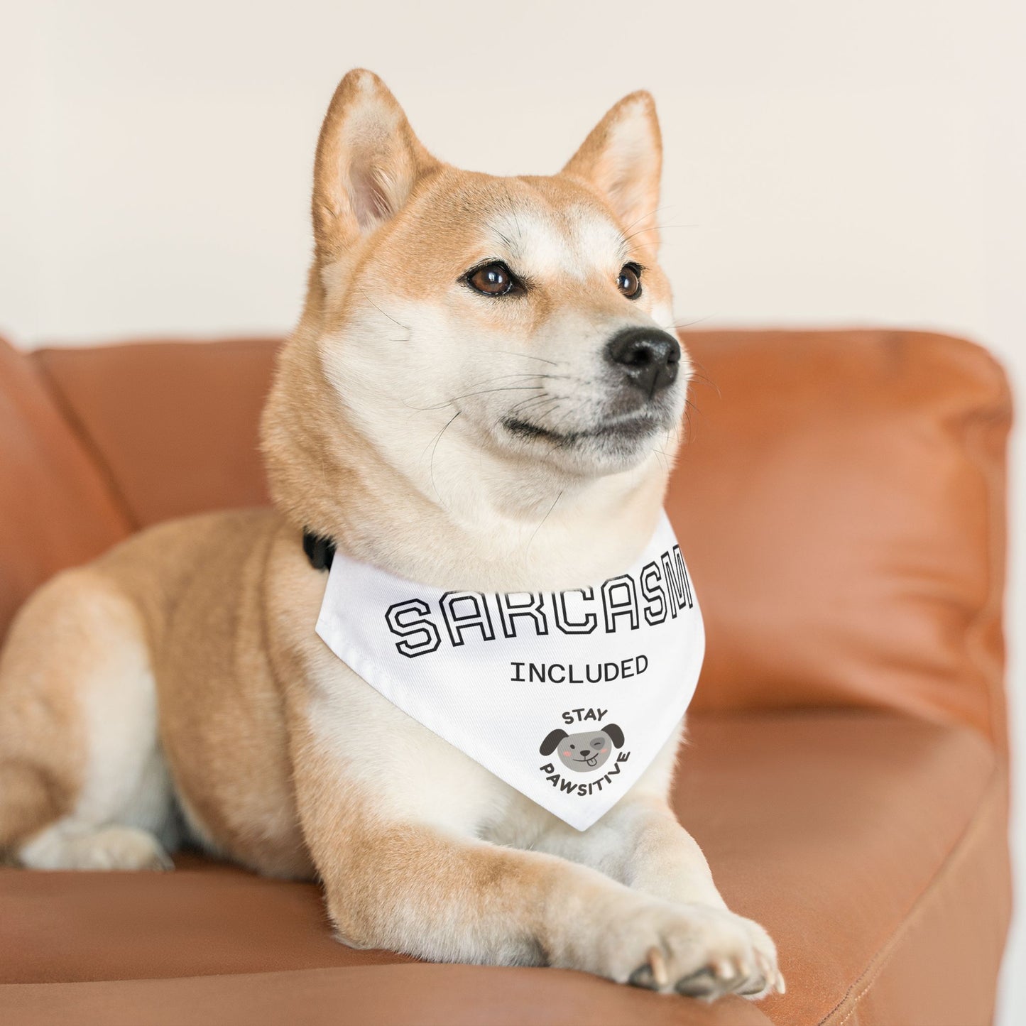 Sarcastic Pet Bandana Collar - Stay Pawsitive Dog Accessory, Funny Pet Gift, Canine Fashion, Cute Dog Apparel