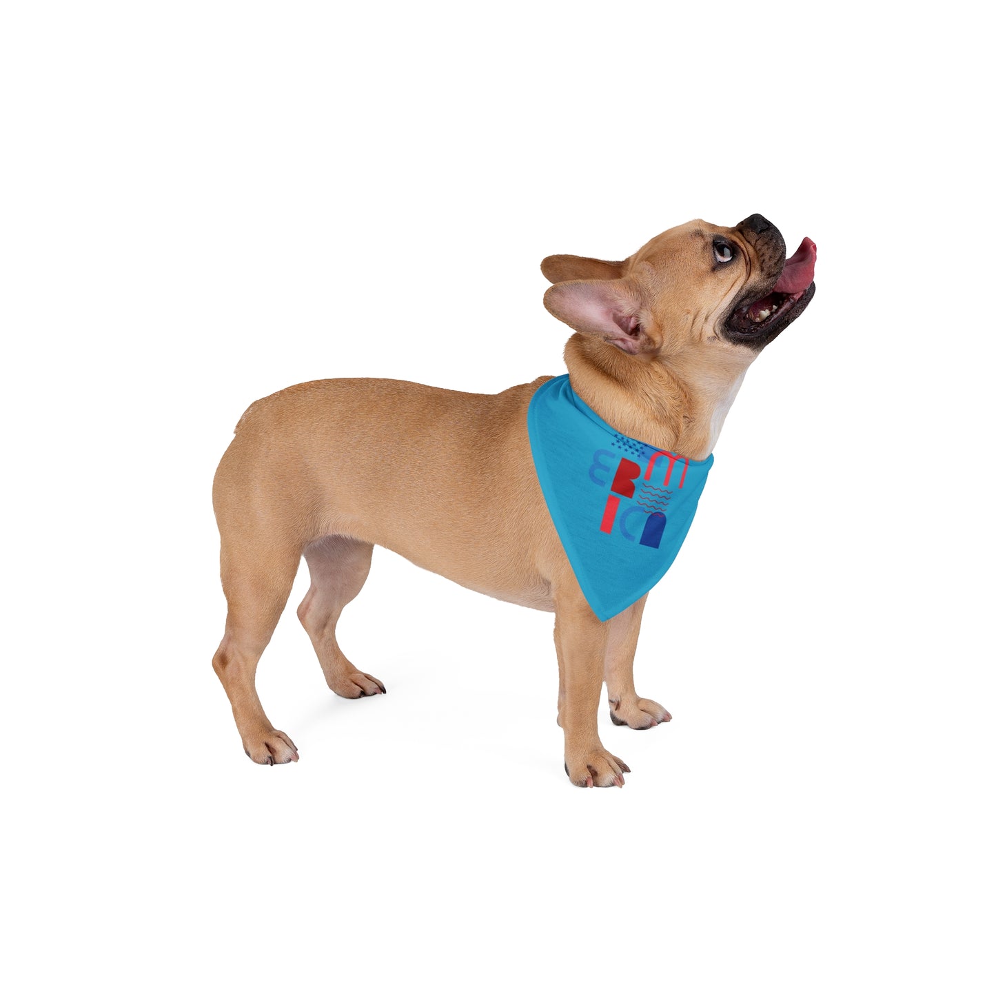 Stylish Pet Bandana for Fashionable Pets, Pet Accessory, Dog Scarf, Cute Dog Gift, Dog Party Wear, Pet Fashion