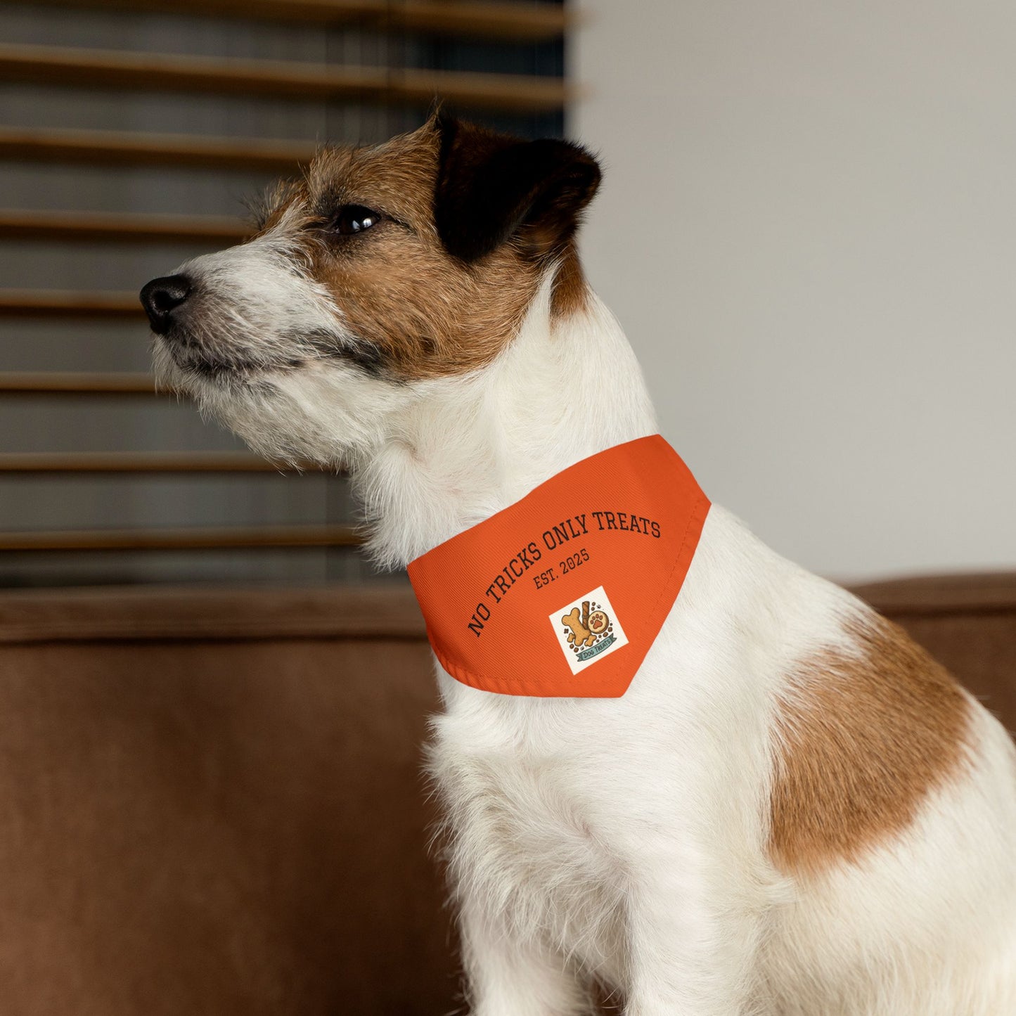 Halloween Pet Bandana Collar, Dog Costume Accessory, Trick or Treat Wear, Pet Holiday Gear, Cute Dog Bandana