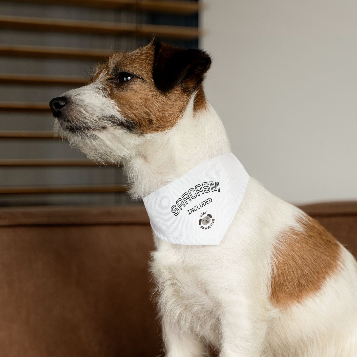 Sarcastic Pet Bandana Collar - Stay Pawsitive Dog Accessory, Funny Pet Gift, Canine Fashion, Cute Dog Apparel