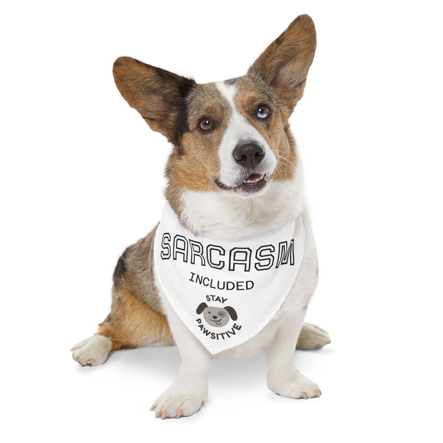 Sarcastic Pet Bandana Collar - Stay Pawsitive Dog Accessory, Funny Pet Gift, Canine Fashion, Cute Dog Apparel